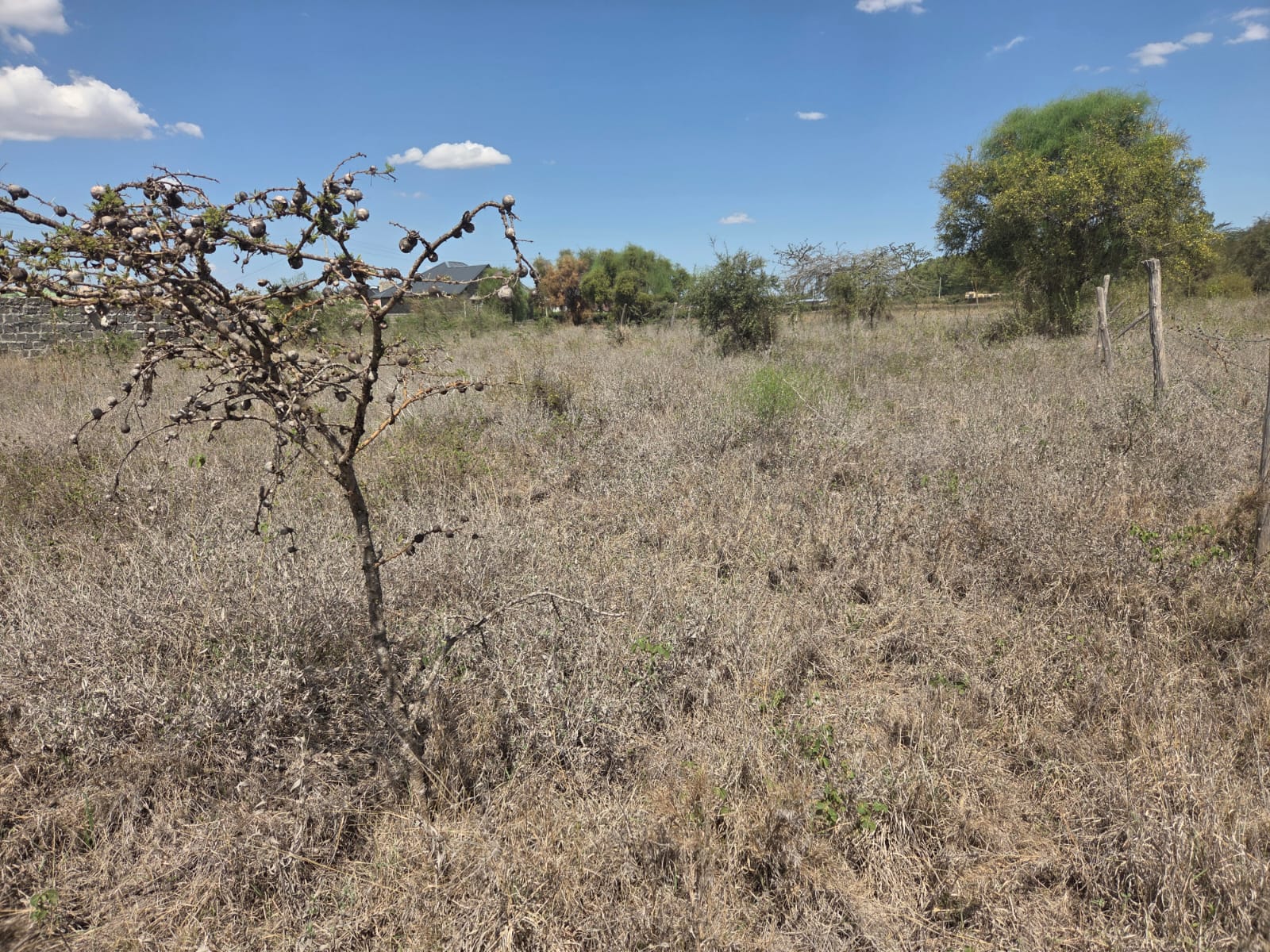 LAND FOR SALE